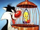 tweety-and-silvester-02