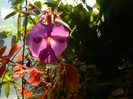 DSCN8570