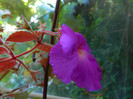 DSCN8585