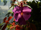 DSCN8586