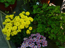 DSCN8603