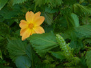 DSCN8624