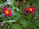 DSCN8625