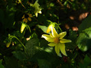 DSCN8627
