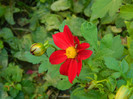 DSCN8628