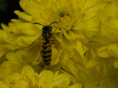 DSCN8638