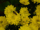 DSCN8641