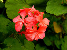 DSCN8644