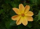DSCN8648