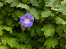 DSCN8661