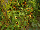 DSCN8672