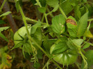 DSCN8677