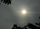 DSCN8688