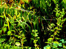 DSCN8690