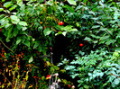 DSCN8697