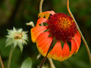 DSCN8701
