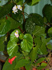 DSCN8705