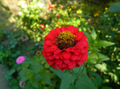 DSCN8548