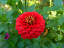 DSCN8551