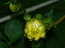 DSCN8555