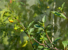 DSCN8557