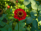 DSCN8558
