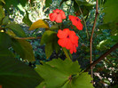 DSCN8563