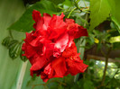 DSCN8566