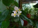 DSCN8567