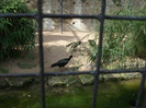 Picture 327
