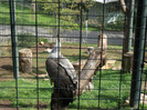 Picture 328