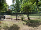 Picture 338