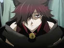 cheshire din Pandora Hearts