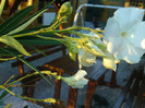 DSC01191