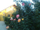 DSC01207