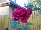 DSC01210