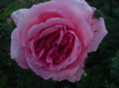 DSC01211