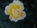 DSC01212