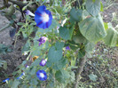 DSC01219