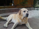 septembrie 2012 022