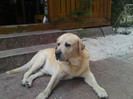 septembrie 2012 021