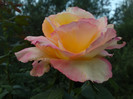 septembrie 2012 029