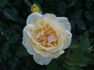 septembrie 2012 035