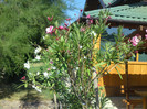 septembrie 2012 049