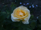 septembrie 2012 031