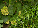 DSCN8736