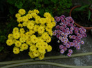 DSCN8741