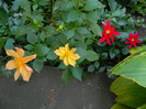 DSCN8742