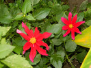 DSCN8743