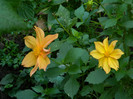 DSCN8744